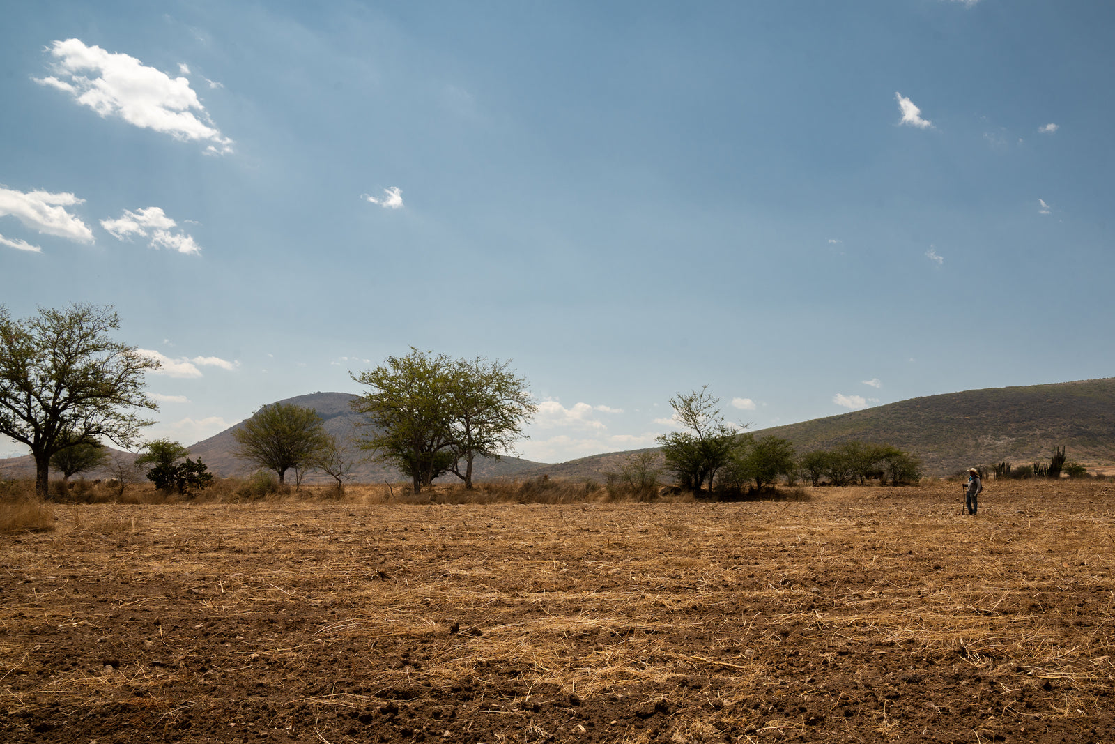 Photos– Outside of the Studio