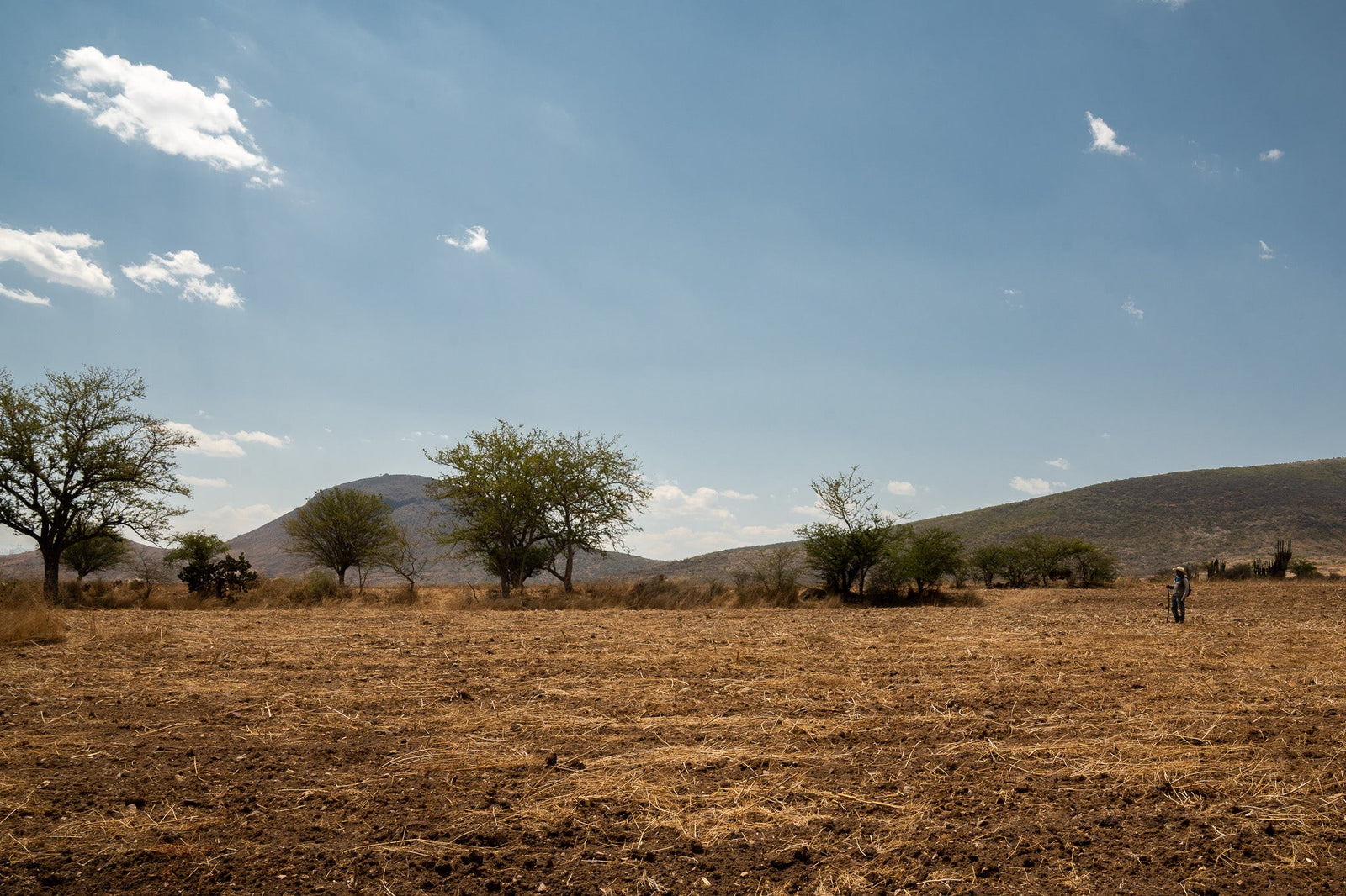 Oaxaca: Ltd. Edition Photography
