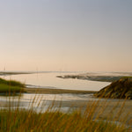 Rock Harbor Low-Tide