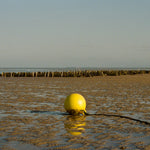 Rock Harbor Mooring