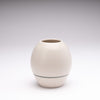 Matte White Vase with Stripe