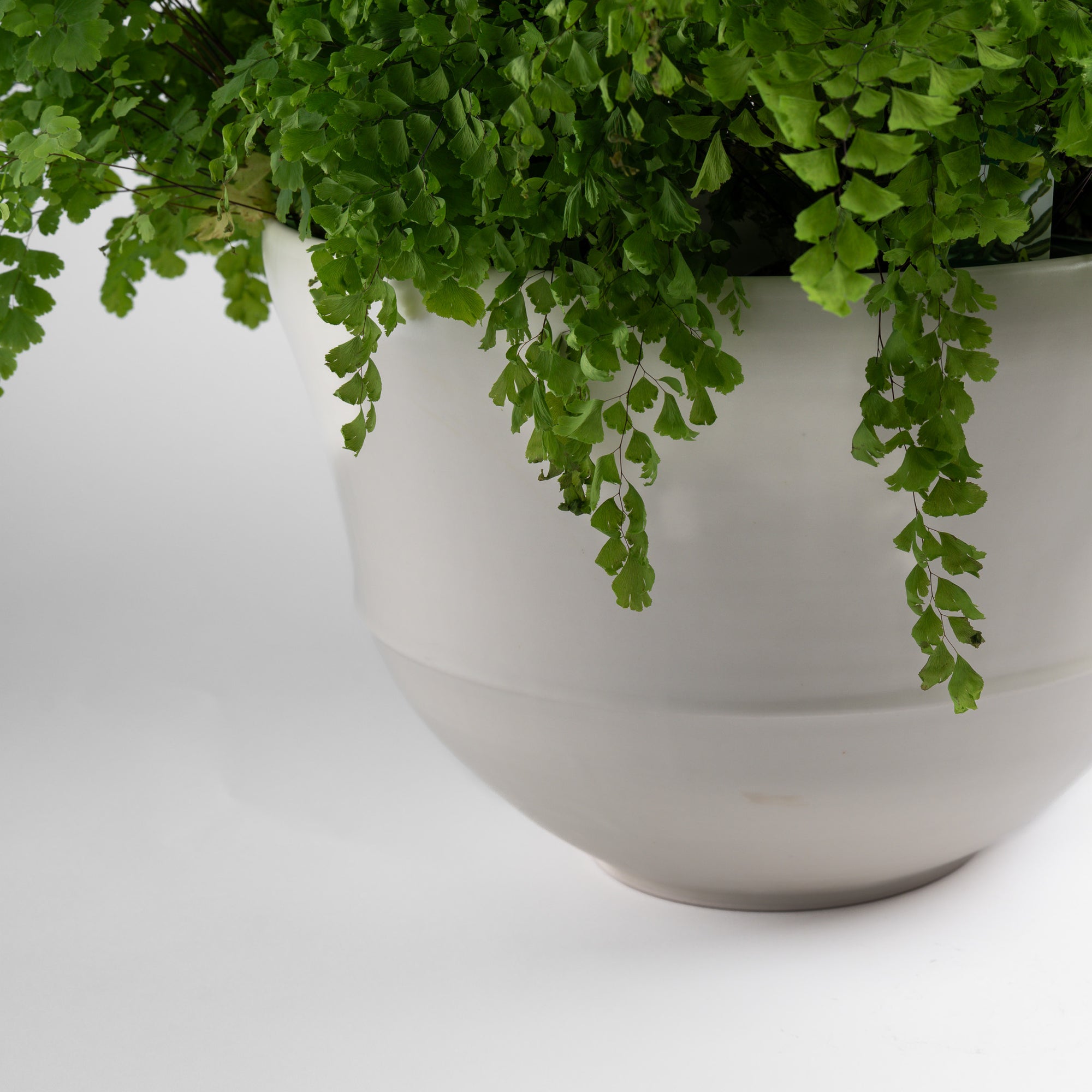 Large Matte White Assembled Bowl