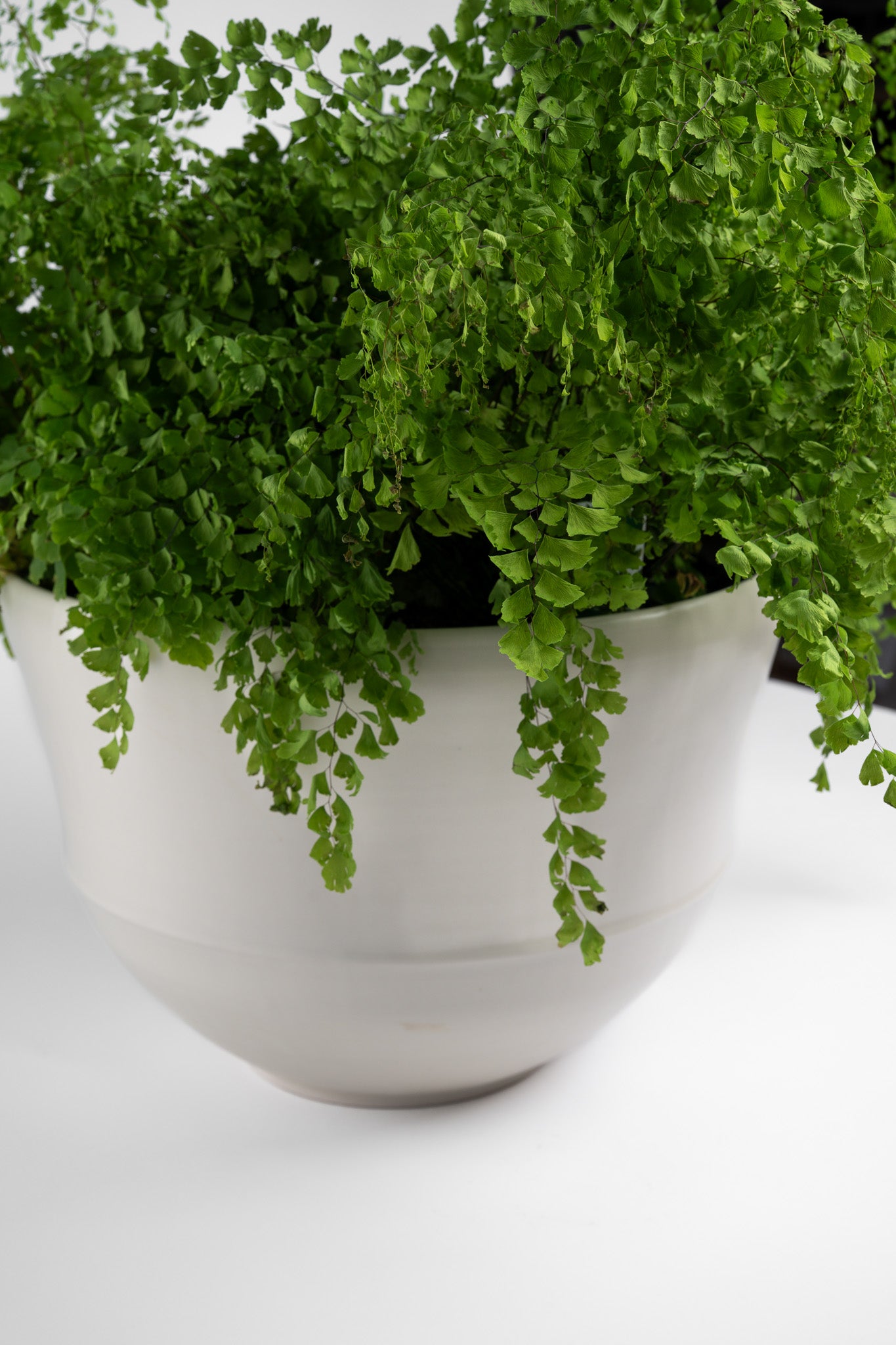 Large Matte White Assembled Bowl