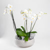 Large Matte White Asssembled Bowl