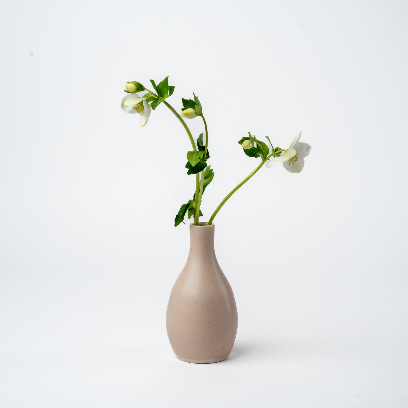 Pink Bud Vase- 2025 Ltd. Edition