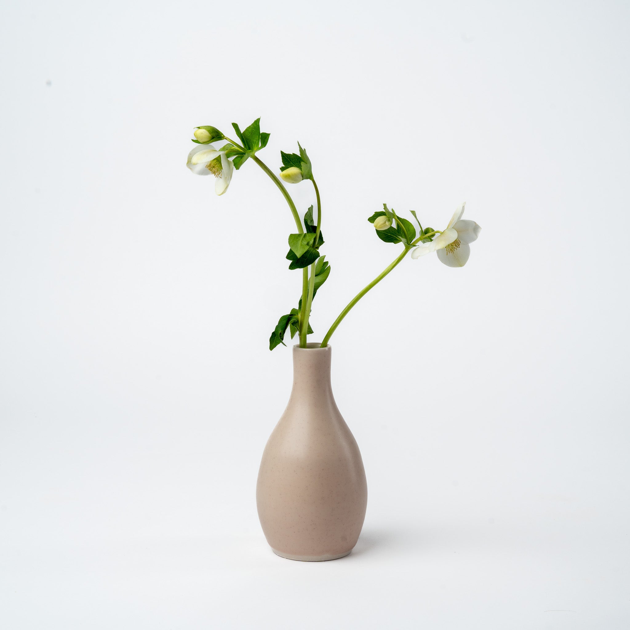Pink Bud Vase- 2025 Ltd. Edition