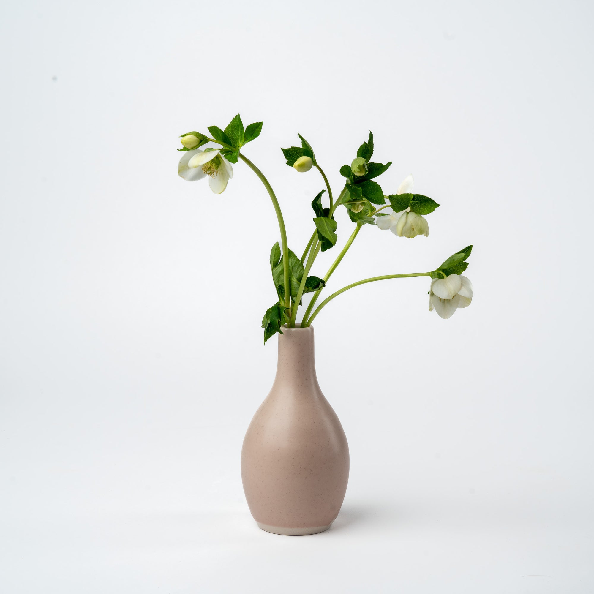 Pink Bud Vase- 2025 Ltd. Edition