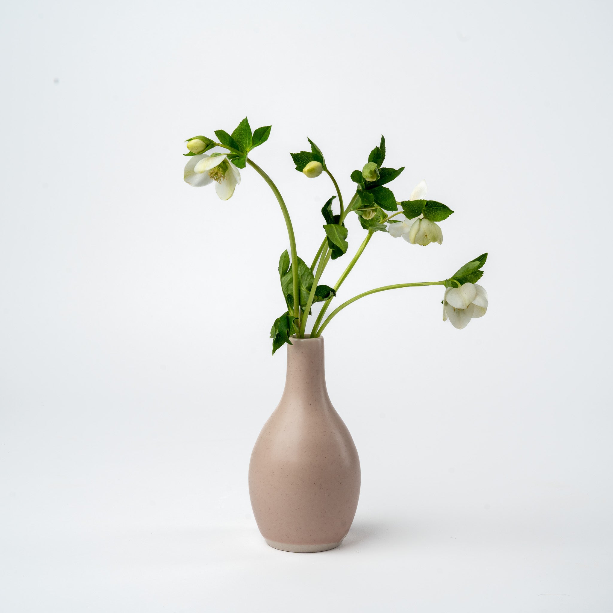 Pink Bud Vase- 2025 Ltd. Edition