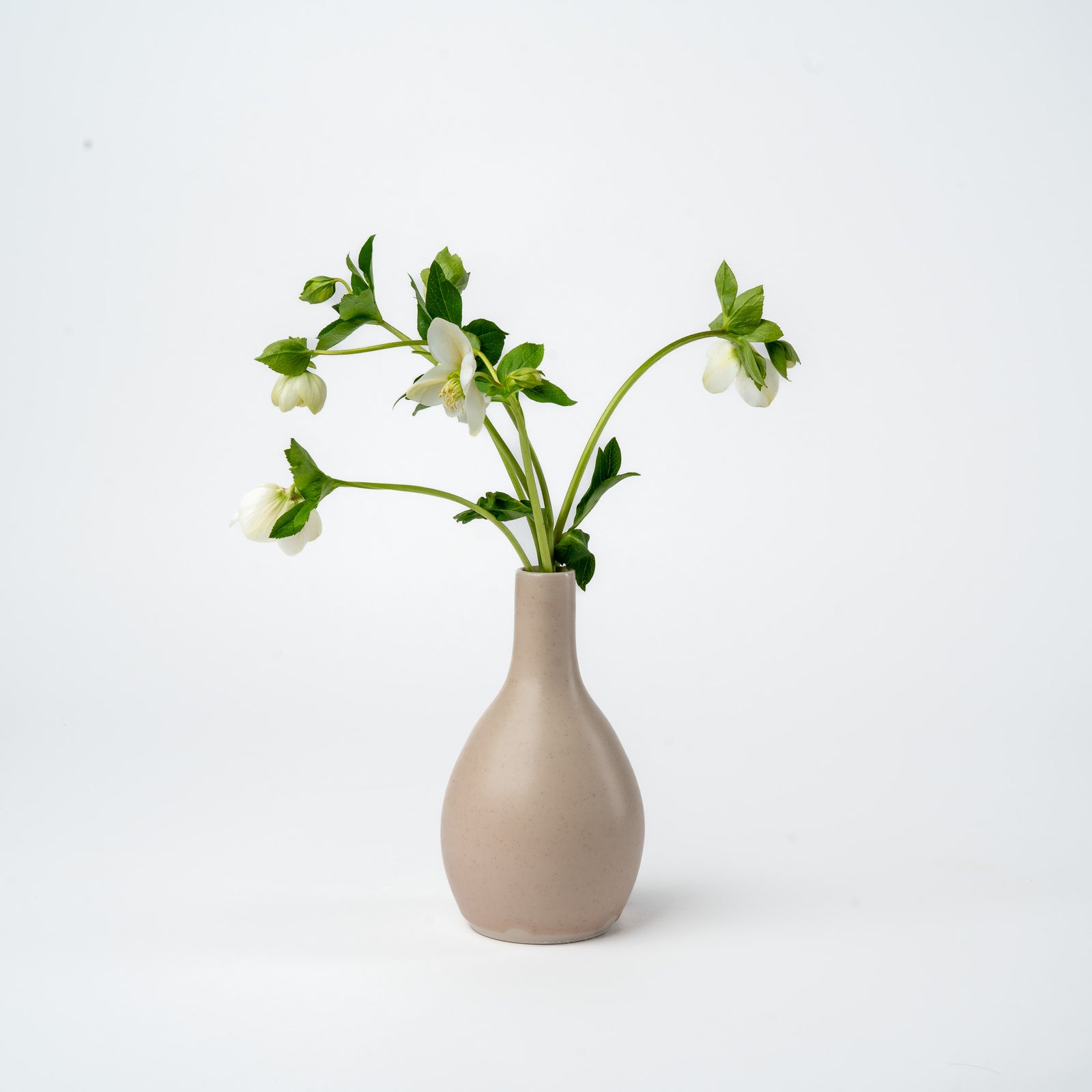 Pink Bud Vase- 2025 Ltd. Edition