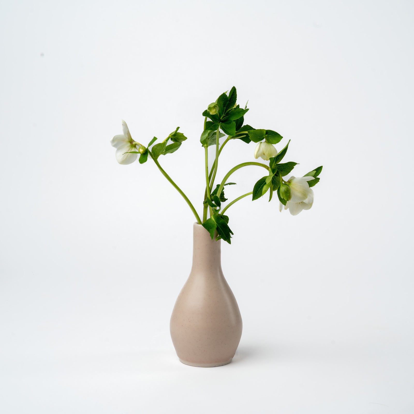 Pink Bud Vase- 2025 Ltd. Edition