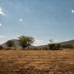 San Martin Tilcajete