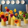 One-of-a-Kind Set of Vases