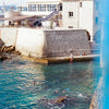 Nice • France No. 2